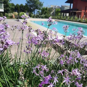 Gloria Apartment Peschiera del Garda