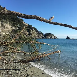 https://le-cinque-vele-cinque-terre.hotelitalianriviera.com